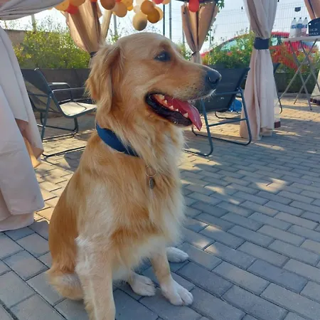 Stefaniya * Sozopol