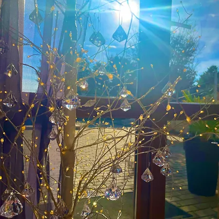 Stefaniya ソゾポル