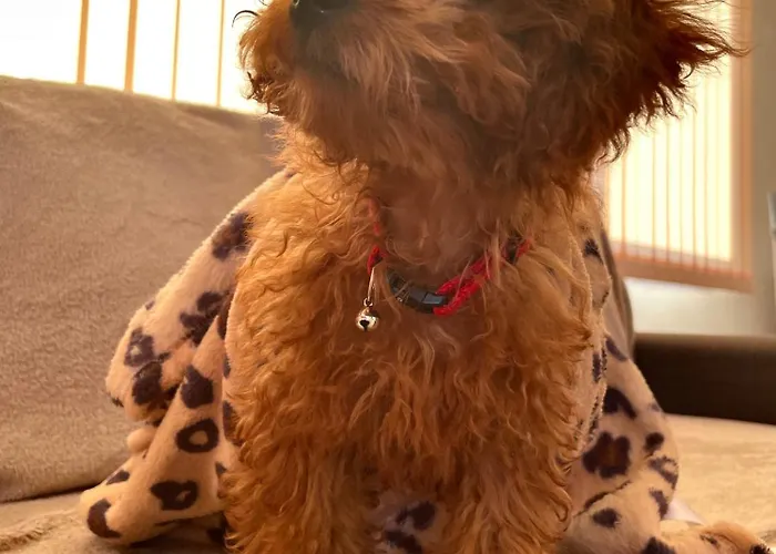 Stefaniya דירה *