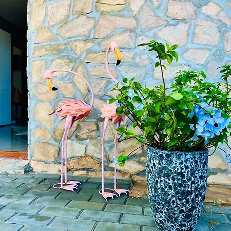 Apartamento Stefaniya *